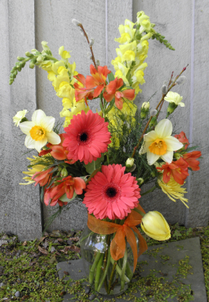 Sunny Spring  Seasonal Flowers 