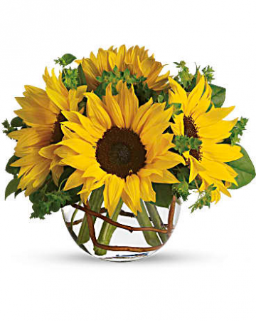 Sunny Sunflowers 