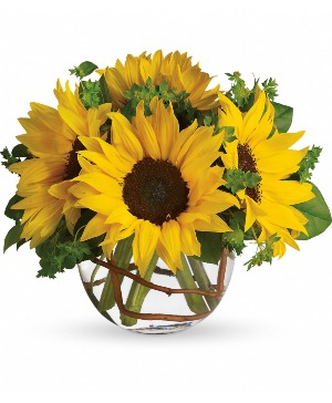 Sunny Sunflowers 
