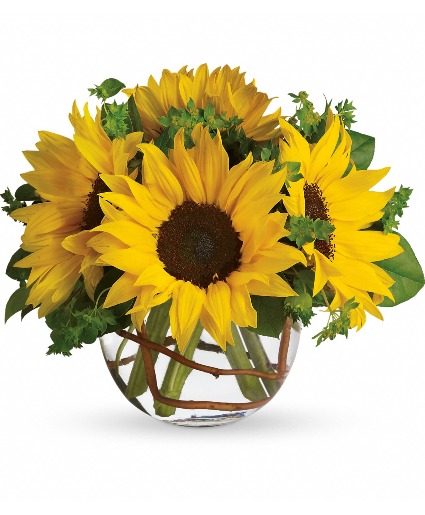Sunny Sunflowers 