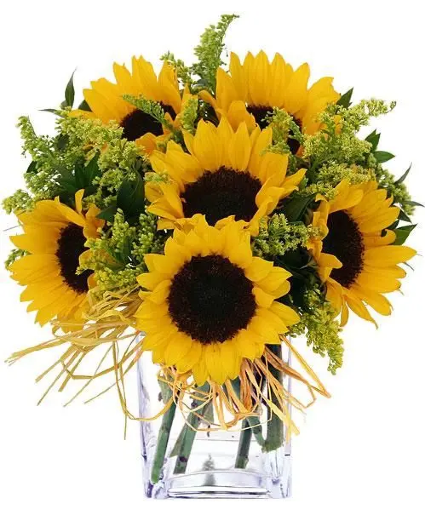 Sunny Sunflowers 