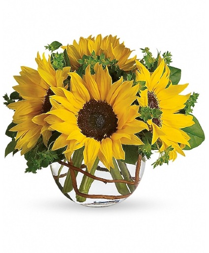 Sunny sunflowers 