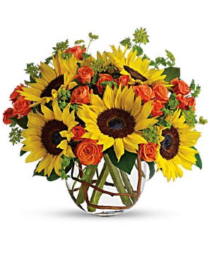 Sunny Sunflowers every day