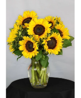 Sunny Sunflowers Fresh Sunflowers in a vase