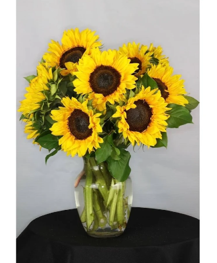 Sunny Sunflowers Fresh Sunflowers in a vase