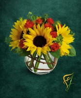 Sunny Sunflowers MIX FLOWER