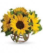 Sunny Sunflowers Small Sunflower Arrangement