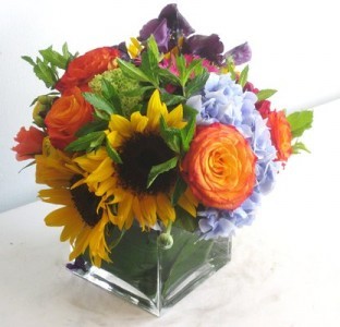 Sunny Surprise Cube Arrangement