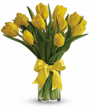 Sunny Yellow Tulips T140-1 12.5"(w) x 14.75"(h)