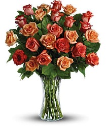 Sunrise Orange Roses 