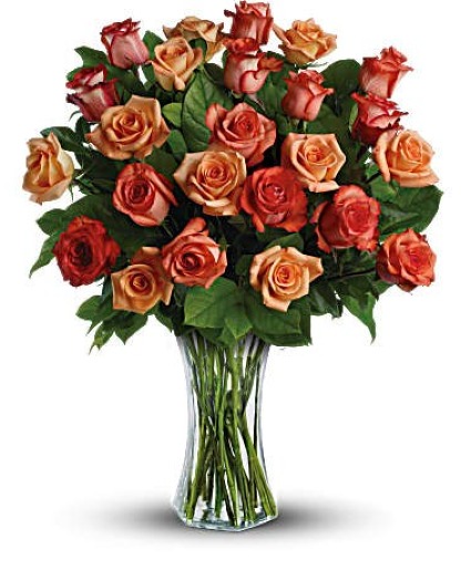 Sunrise Orange Roses 