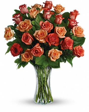 Sunrise Splendor Trs08-1 23"(w) x 28.5"(h)