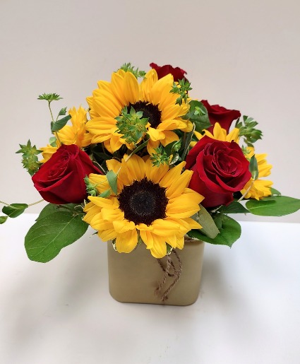 SUNS AND ROSES 