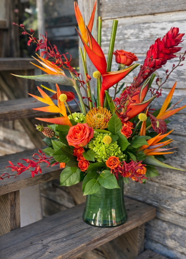 Sunset in the Keys  in Key West, FL | Petals & Vines