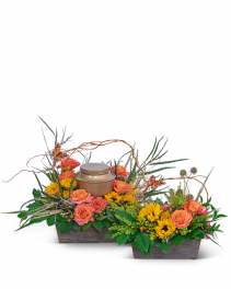 Sunset Reflections Tribute 