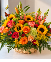 Sunshin  & Butterflies basket 