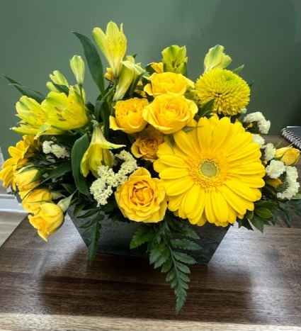 Sunshine 