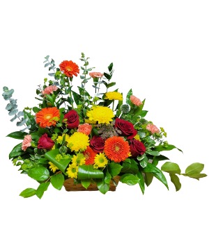 Sunshine and Love Fresh arrangement
