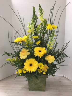 Sunshine Beams Arrangement
