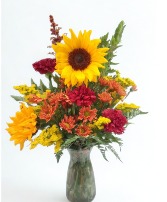 Sunshine Blooms 