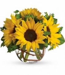 Sunshine Bowl 