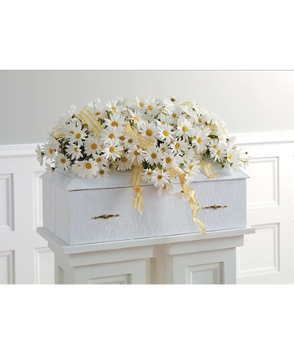 Sunshine & Daisies Tribute Casket Spray