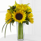 Sunshine Daydream Bouquet Bouquet