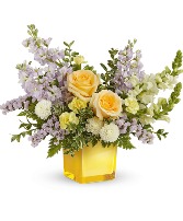 Sunshine Dreams Arrangement 