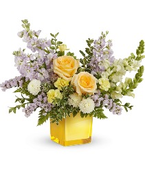 Sunshine Dreams Arrangement 