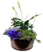 Sunshine Garden Dish Garden 