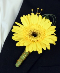 Sunshine Gerberal Gerbera Daisy Bout