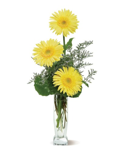 SUNSHINE GERBERS Vase Arrangement