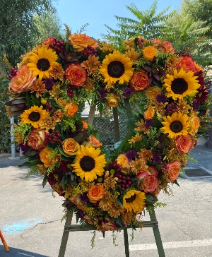 SUNSHINE HEART 