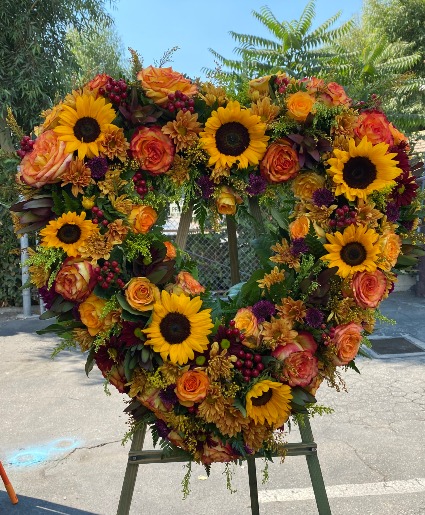 SUNSHINE HEART 