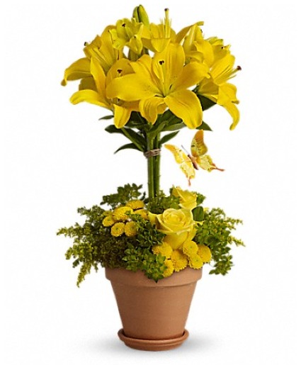 Sunshine & Laughter    Floral Arrangement