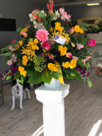 Sunshine Memory Funeral arrangement 