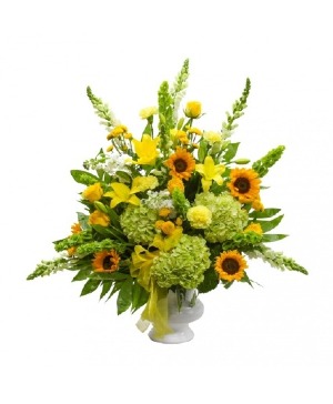 Sunshine Of My Life SYMPATHY