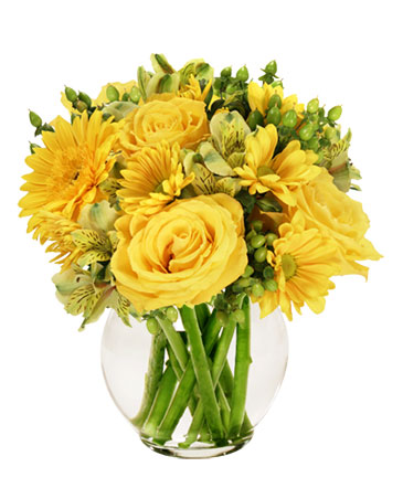 Sunshine Perfection Floral Arrangement in Marmaduke, AR | Choco Taco Florist ***TEST SHOP****