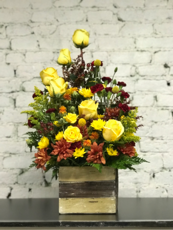sunshine rose box 