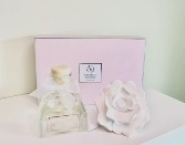 Sunshine Rose Diffuser 