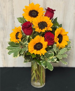 Sunshine & Roses (Sol y Rosas)