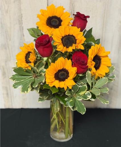 Sunshine & Roses (Sol y Rosas)