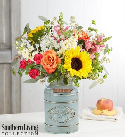 Sunshine Splendor 