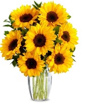 Sunshine Sunflowers  