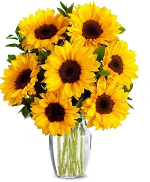 Sunshine Sunflowers  