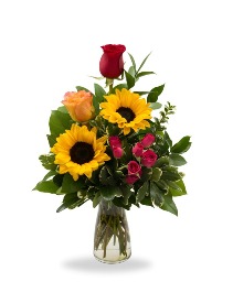 Sunshine Valentine Sunshine Collection