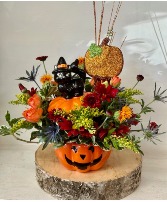 susu the black cat ceramic  jack o lantern pot