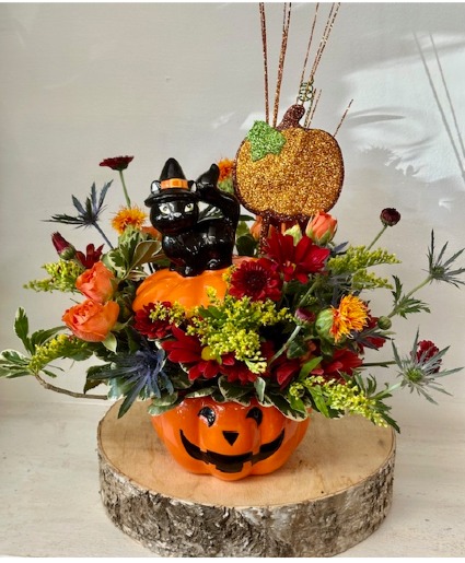 suss the black cat ceramic  jack o lantern pot