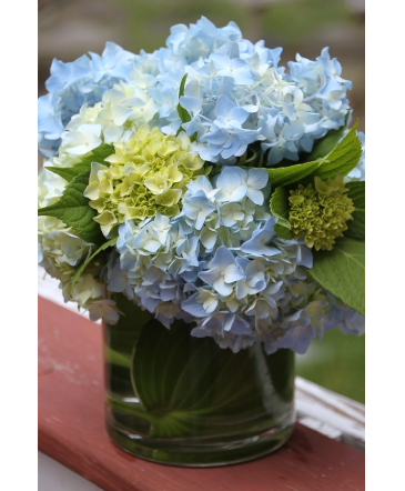 Suthern Surprise   Hydrangeas Arrangement- Mixed Colors in Spring, TX | Spring Trails Florist