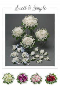 Sweet and Simple Wedding  Package